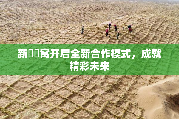 新妺妺窝开启全新合作模式，成就精彩未来