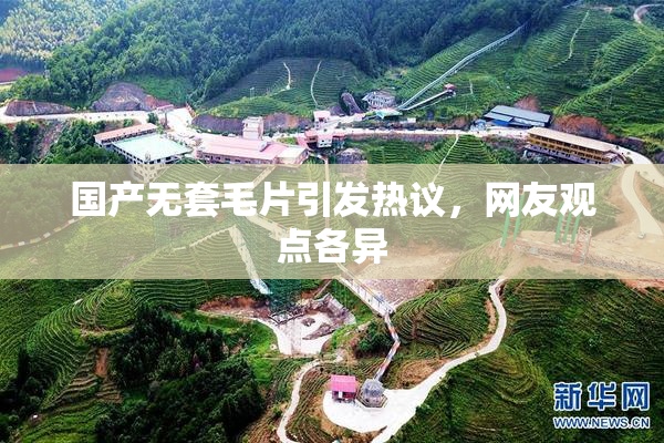 国产无套毛片引发热议，网友观点各异
