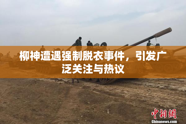 柳神遭遇强制脱衣事件，引发广泛关注与热议