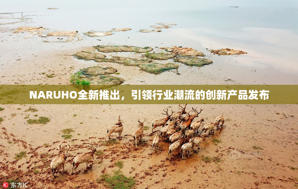 NARUHO全新推出，引领行业潮流的创新产品发布