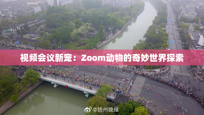视频会议新宠：Zoom动物的奇妙世界探索