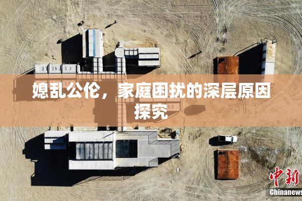 媳乱公伦，家庭困扰的深层原因探究