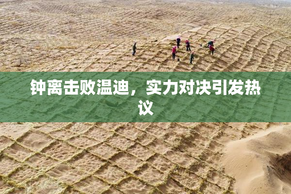 钟离击败温迪，实力对决引发热议