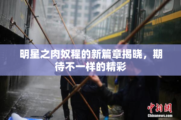 明星之肉奴程的新篇章揭晓，期待不一样的精彩