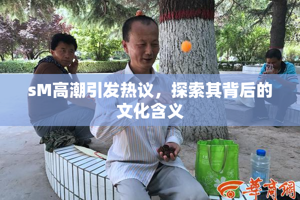 sM高潮引发热议，探索其背后的文化含义