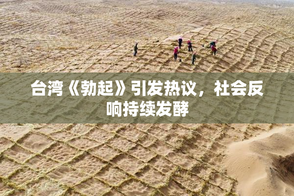 台湾《勃起》引发热议，社会反响持续发酵