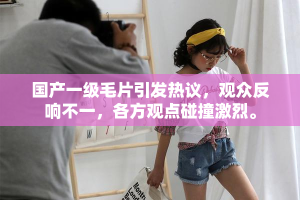 国产一级毛片引发热议，观众反响不一，各方观点碰撞激烈。