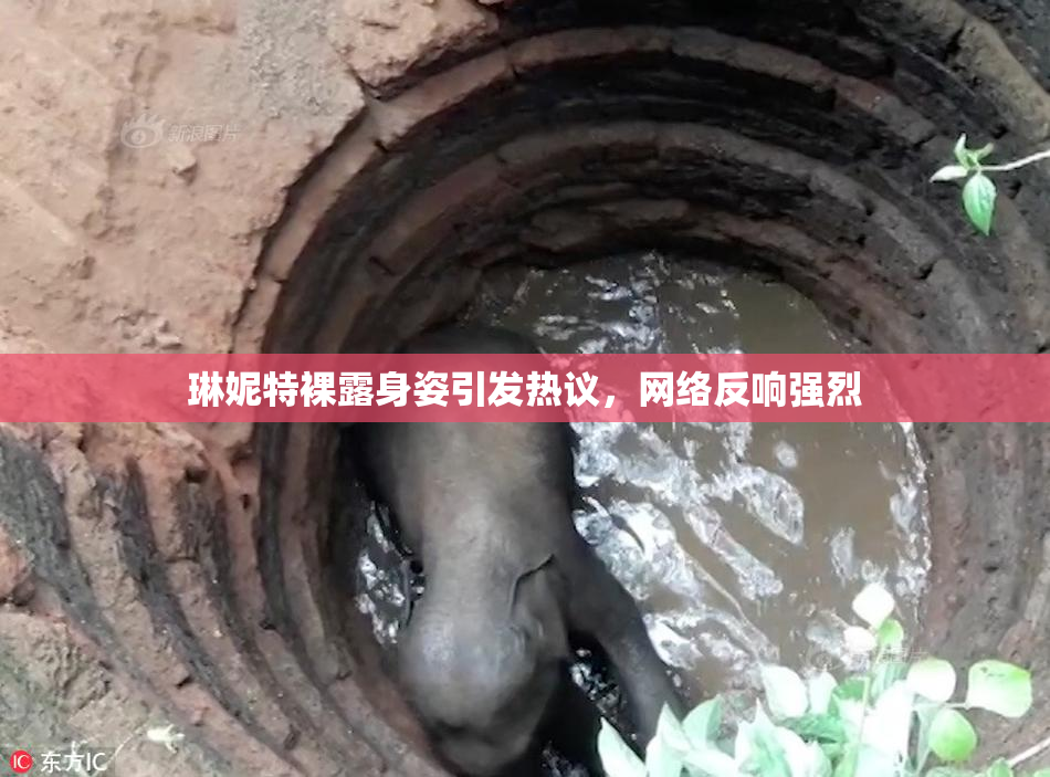 琳妮特裸露身姿引发热议，网络反响强烈