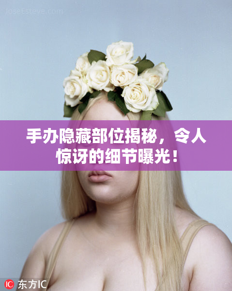 手办隐藏部位揭秘，令人惊讶的细节曝光！