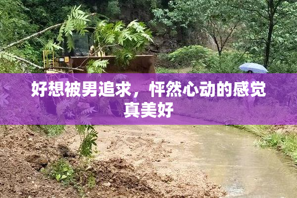 好想被男追求，怦然心动的感觉真美好