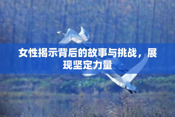 女性揭示背后的故事与挑战，展现坚定力量