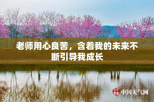 老师用心良苦，含着我的未来不断引导我成长