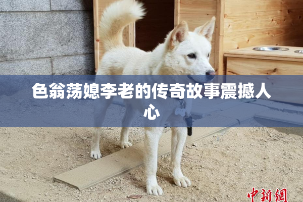 色翁荡媳李老的传奇故事震撼人心