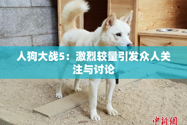 人狗大战5：激烈较量引发众人关注与讨论