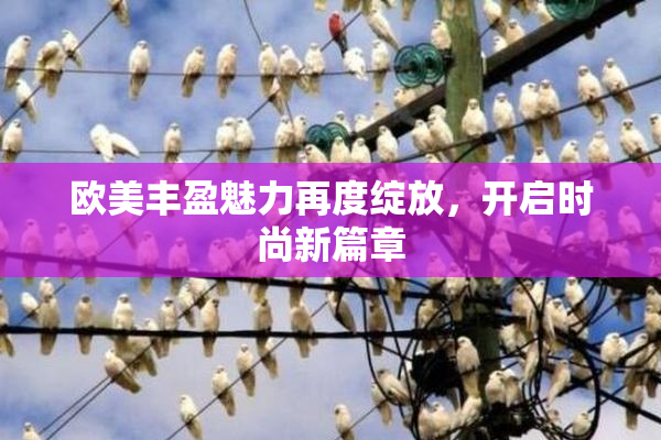 欧美丰盈魅力再度绽放，开启时尚新篇章