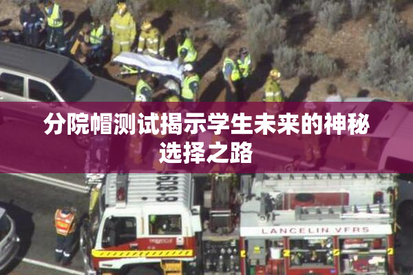 分院帽测试揭示学生未来的神秘选择之路
