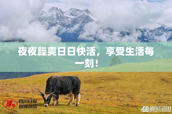 夜夜躁爽日日快活，享受生活每一刻！