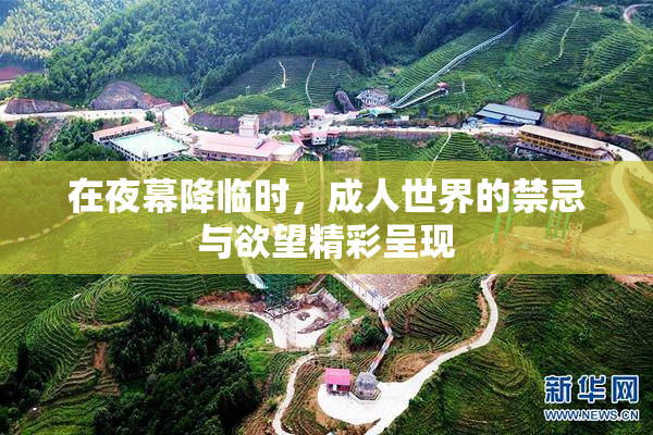 在夜幕降临时，成人世界的禁忌与欲望精彩呈现