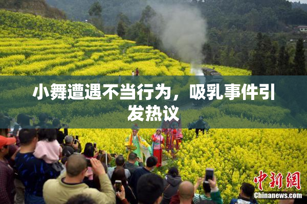 小舞遭遇不当行为，吸乳事件引发热议