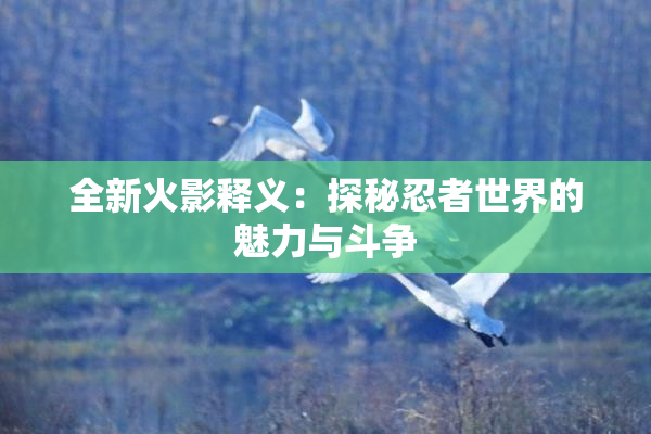 全新火影释义：探秘忍者世界的魅力与斗争