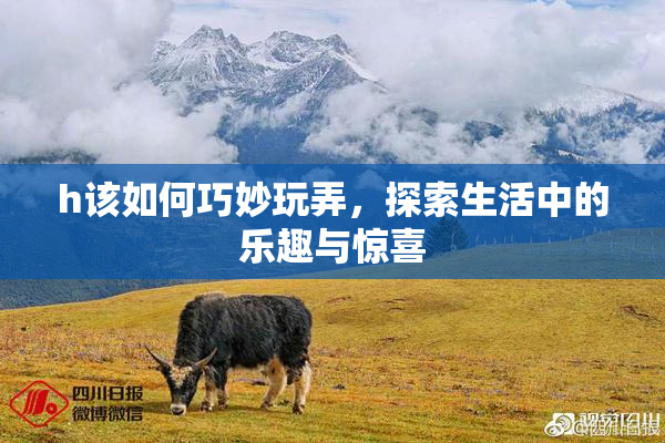 h该如何巧妙玩弄，探索生活中的乐趣与惊喜