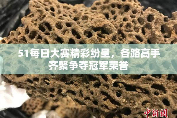 51每日大赛精彩纷呈，各路高手齐聚争夺冠军荣誉
