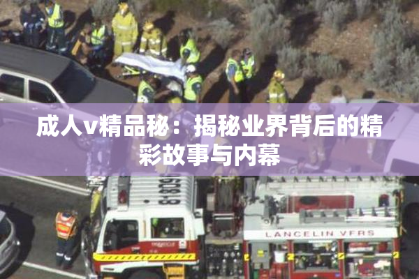 成人v精品秘：揭秘业界背后的精彩故事与内幕