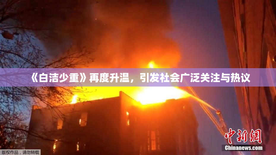 《白洁少重》再度升温，引发社会广泛关注与热议