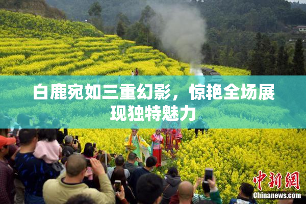 白鹿宛如三重幻影，惊艳全场展现独特魅力