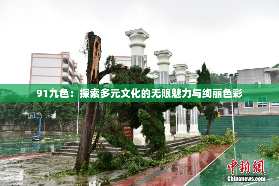 91九色：探索多元文化的无限魅力与绚丽色彩