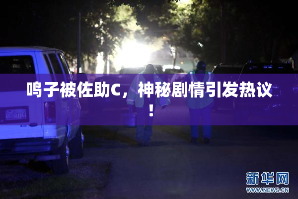 鸣子被佐助C，神秘剧情引发热议！