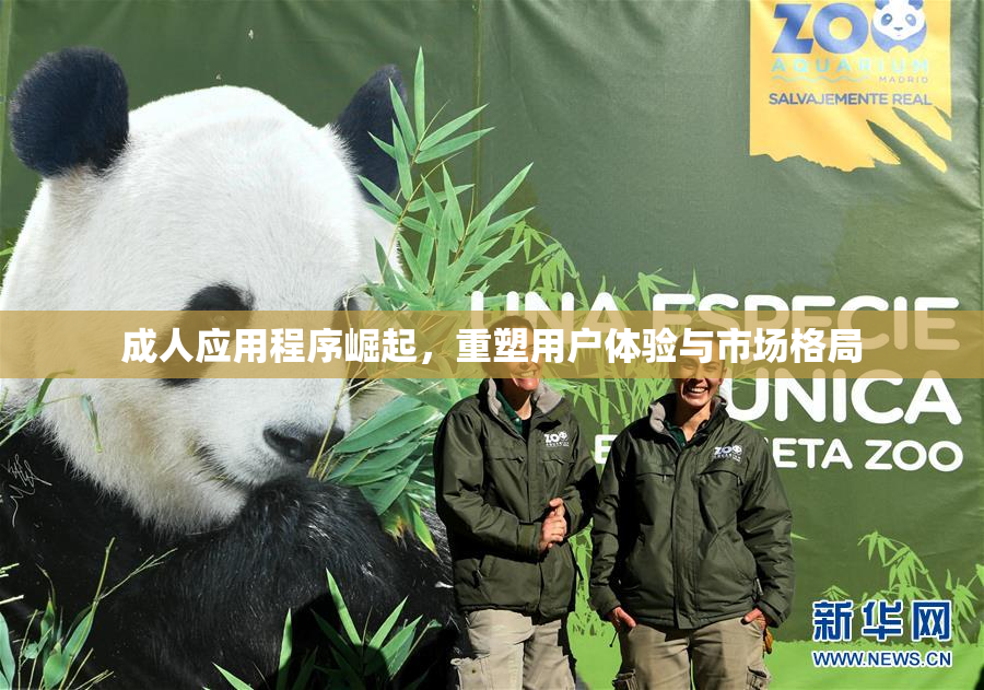 成人应用程序崛起，重塑用户体验与市场格局