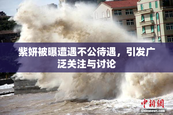 紫妍被曝遭遇不公待遇，引发广泛关注与讨论