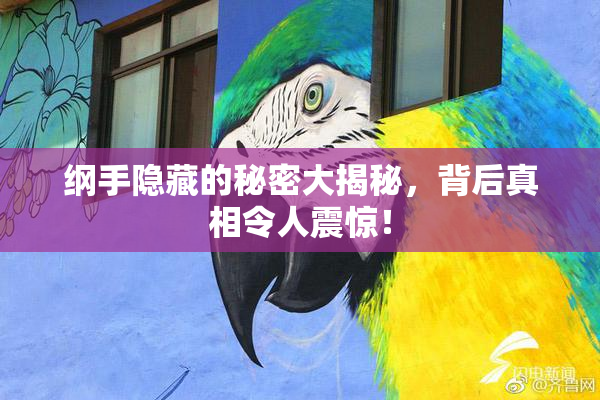 纲手隐藏的秘密大揭秘，背后真相令人震惊！