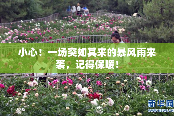 小心！一场突如其来的暴风雨来袭，记得保暖！