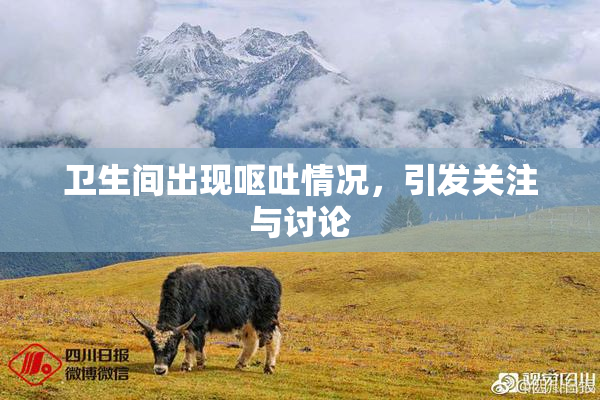 卫生间出现呕吐情况，引发关注与讨论