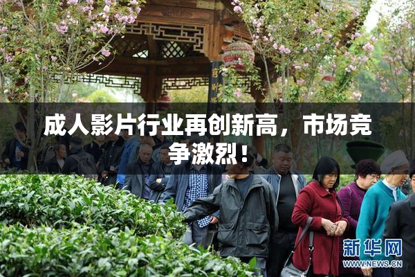 成人影片行业再创新高，市场竞争激烈！