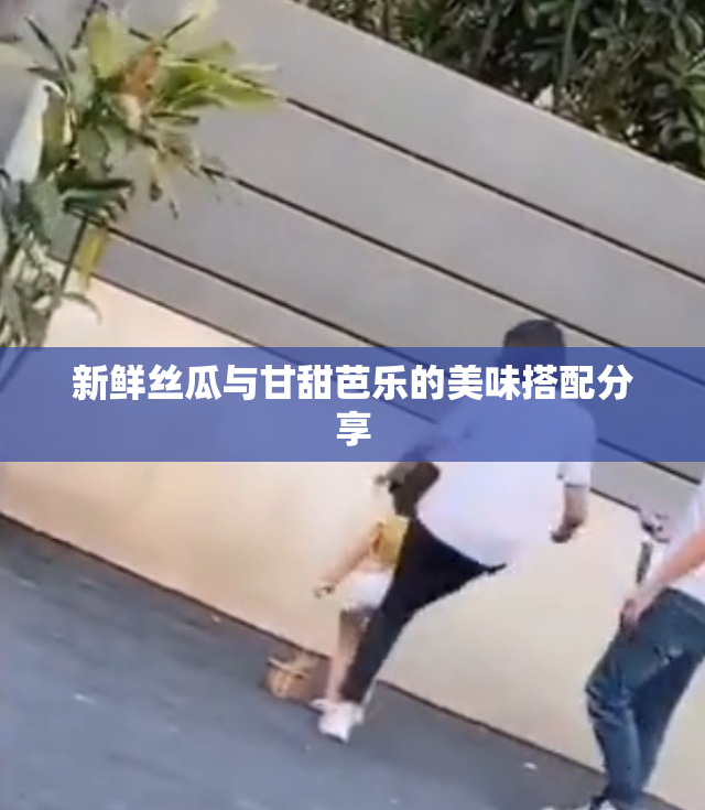 新鲜丝瓜与甘甜芭乐的美味搭配分享