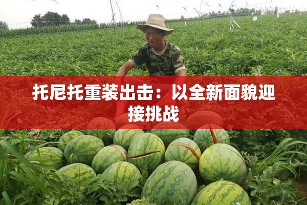 托尼托重装出击：以全新面貌迎接挑战