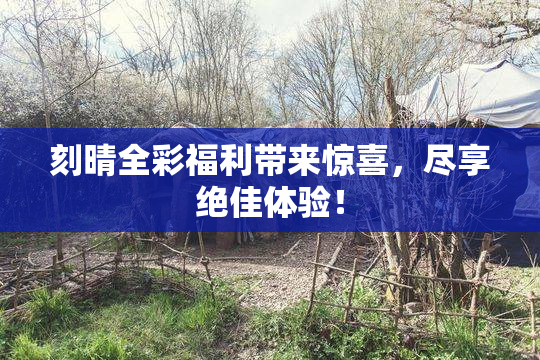 刻晴全彩福利带来惊喜，尽享绝佳体验！