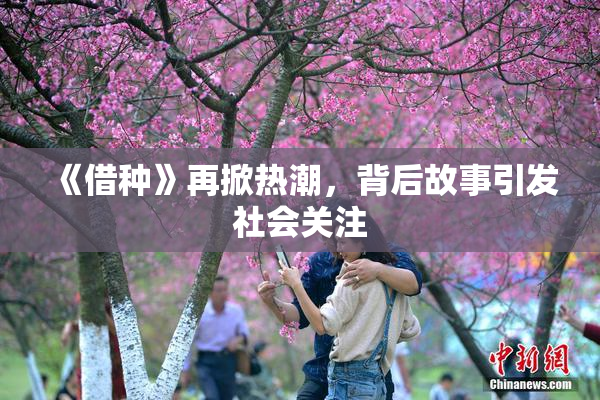 《借种》再掀热潮，背后故事引发社会关注