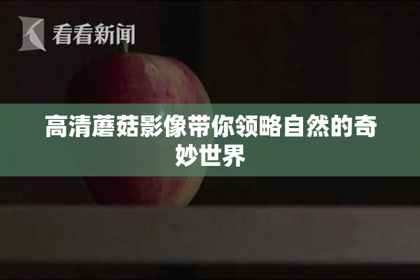 高清蘑菇影像带你领略自然的奇妙世界