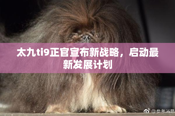 太九ti9正官宣布新战略，启动最新发展计划