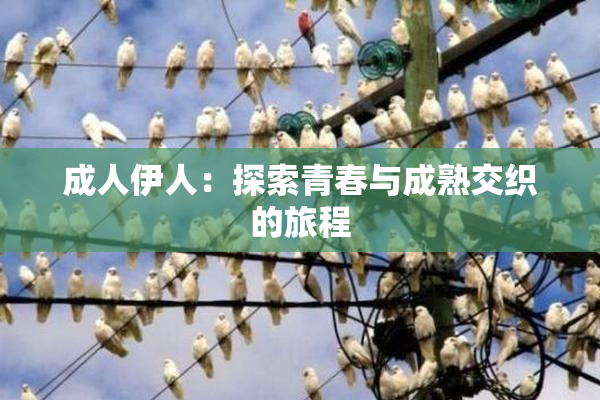成人伊人：探索青春与成熟交织的旅程