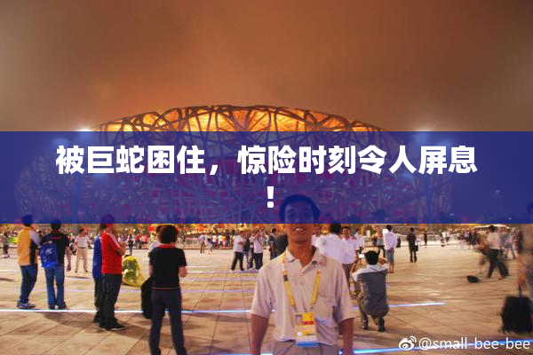 被巨蛇困住，惊险时刻令人屏息！