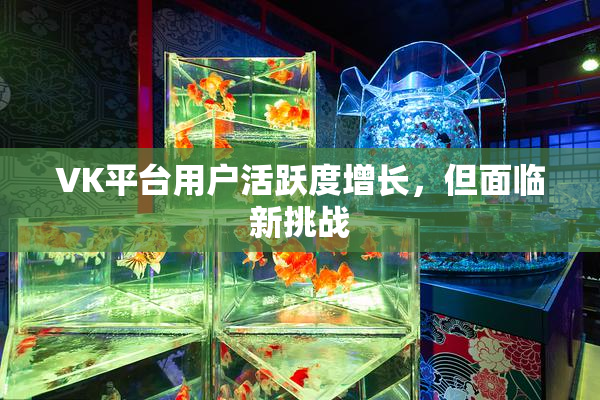 VK平台用户活跃度增长，但面临新挑战
