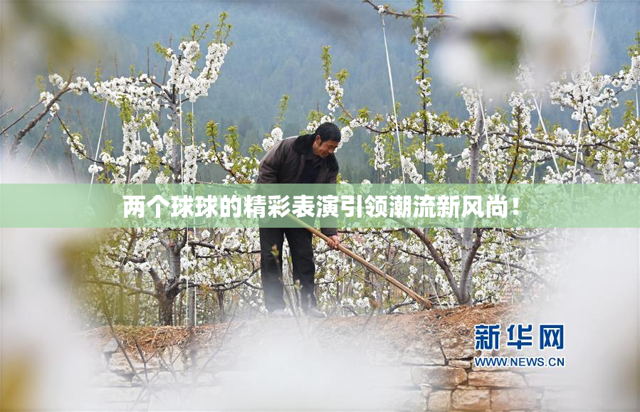两个球球的精彩表演引领潮流新风尚！