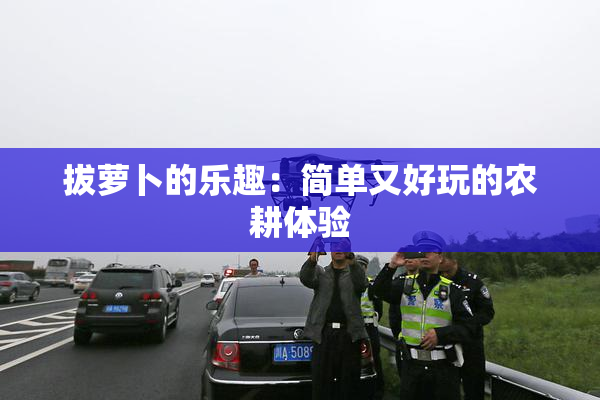 拔萝卜的乐趣：简单又好玩的农耕体验