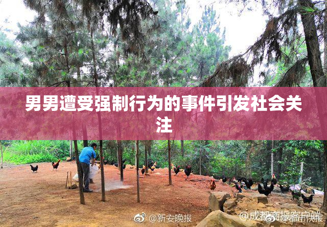 男男遭受强制行为的事件引发社会关注