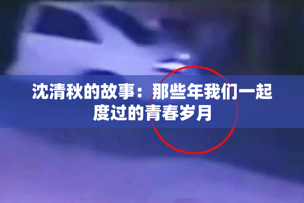 沈清秋的故事：那些年我们一起度过的青春岁月
